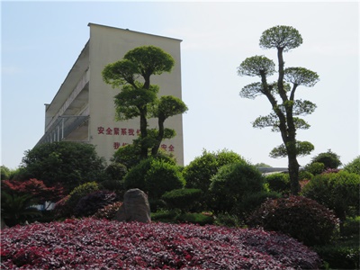 河北生产醋酸去氢表雄酮厂家