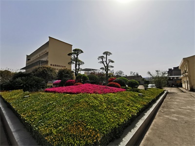 福建销售19-去甲基-5(10)-雄烯二酮(碱脱)批发